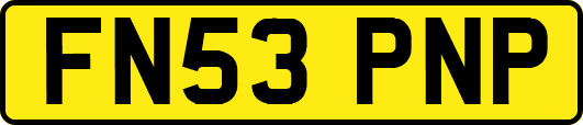 FN53PNP