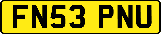 FN53PNU
