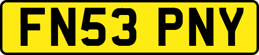 FN53PNY