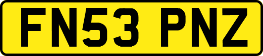 FN53PNZ