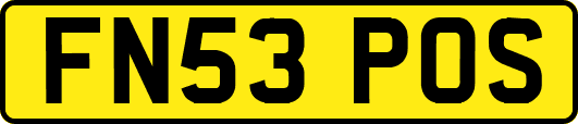 FN53POS