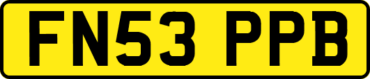 FN53PPB