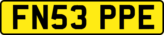 FN53PPE
