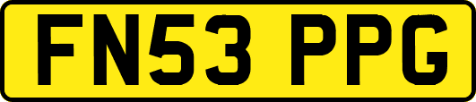FN53PPG