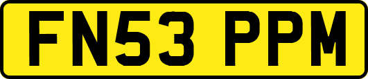 FN53PPM