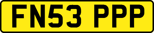 FN53PPP