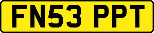 FN53PPT