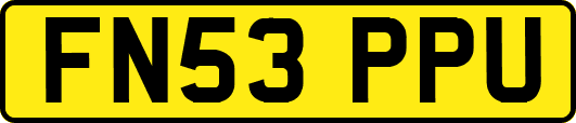 FN53PPU
