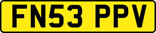 FN53PPV