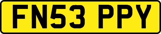 FN53PPY