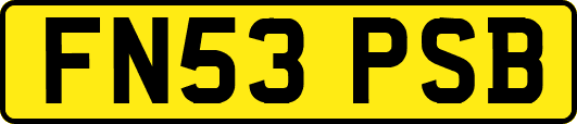 FN53PSB