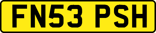 FN53PSH