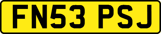 FN53PSJ