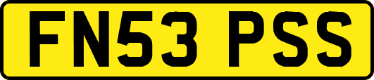 FN53PSS