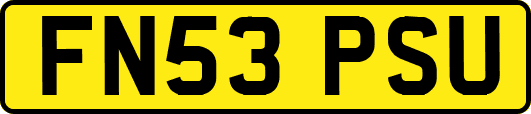 FN53PSU