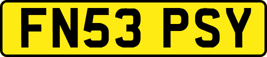 FN53PSY