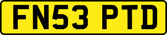 FN53PTD