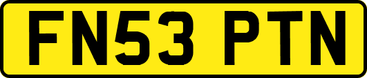 FN53PTN