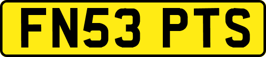 FN53PTS