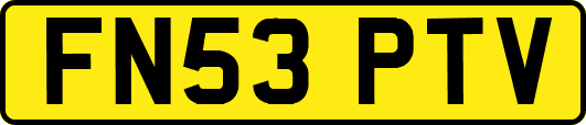FN53PTV