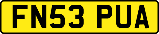 FN53PUA