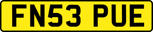 FN53PUE