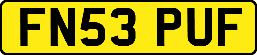FN53PUF