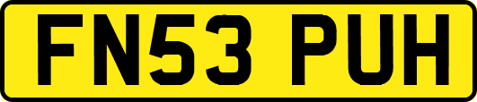 FN53PUH