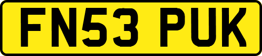 FN53PUK