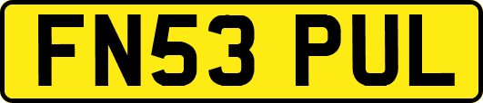 FN53PUL