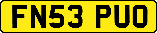 FN53PUO