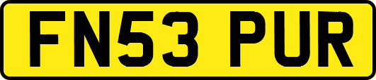 FN53PUR