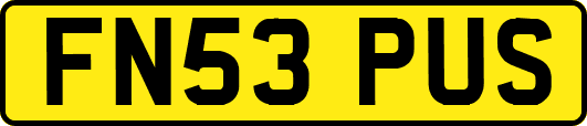FN53PUS