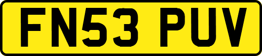 FN53PUV