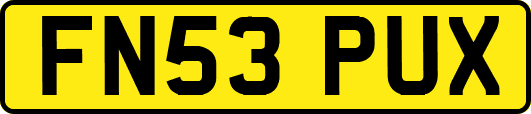 FN53PUX