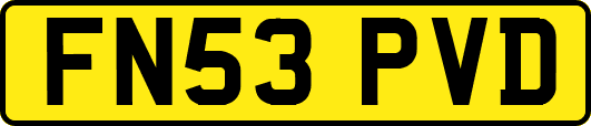 FN53PVD