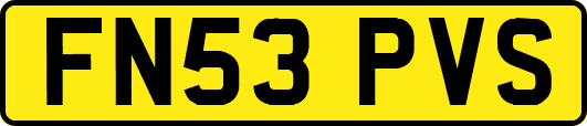 FN53PVS