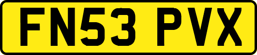 FN53PVX