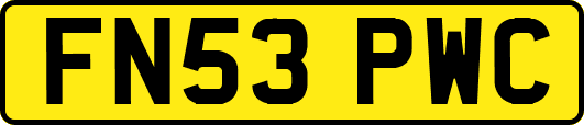 FN53PWC