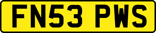 FN53PWS