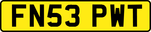 FN53PWT