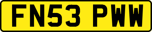 FN53PWW