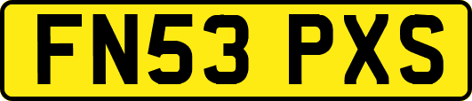 FN53PXS