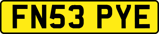 FN53PYE