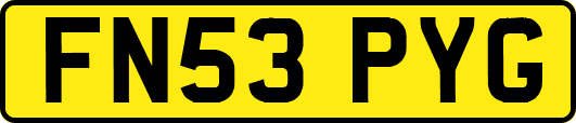FN53PYG