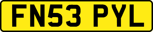 FN53PYL