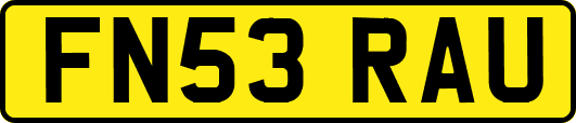 FN53RAU
