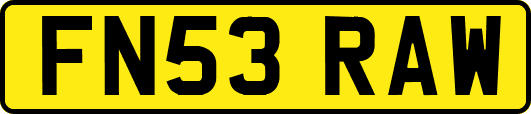 FN53RAW