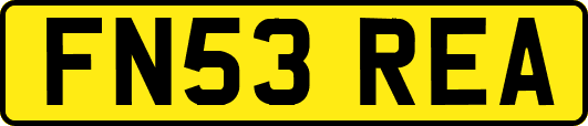 FN53REA