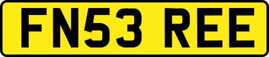 FN53REE